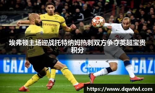 埃弗顿主场迎战托特纳姆热刺双方争夺英超宝贵积分